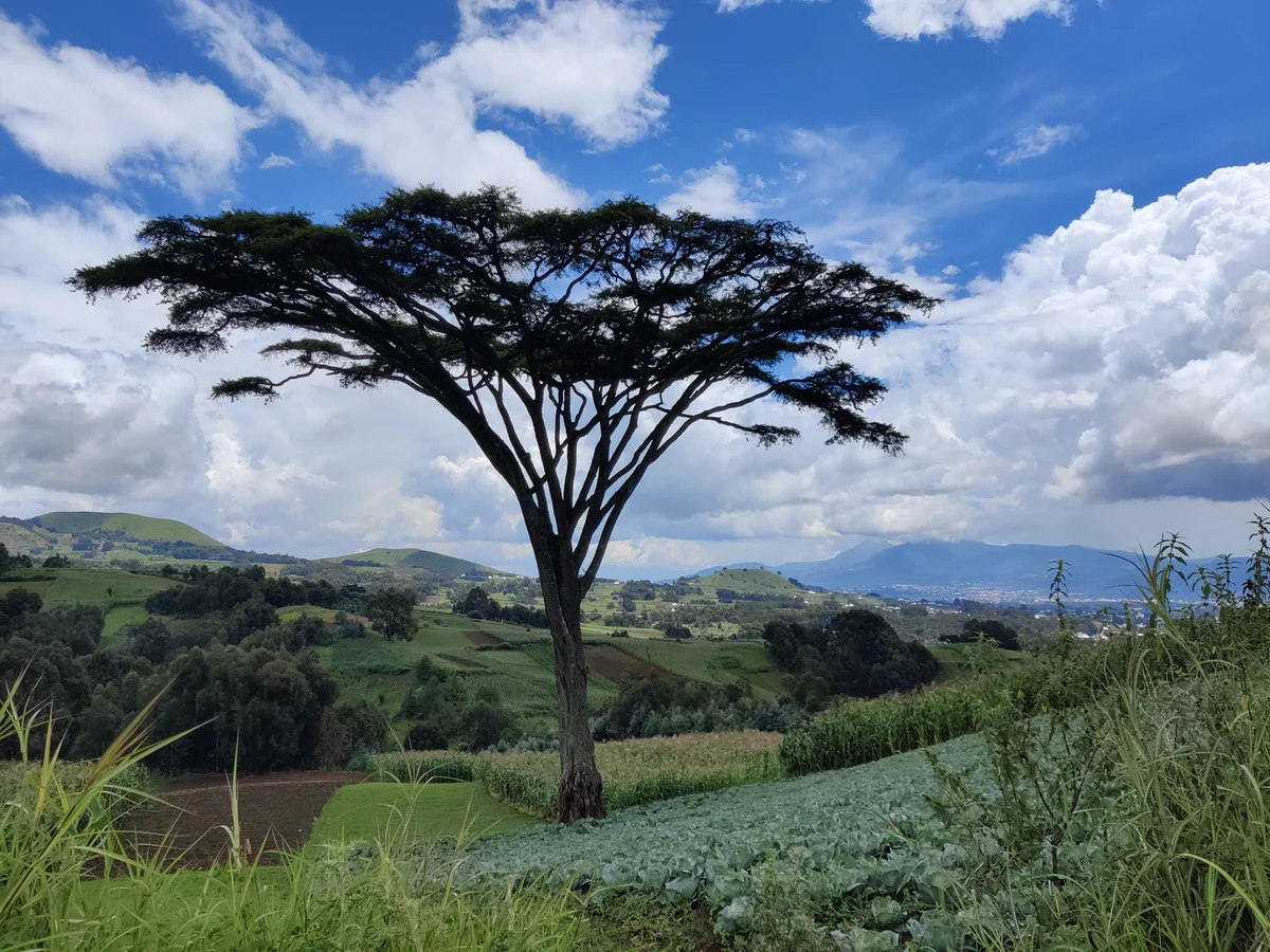 Swahili leer je via Lowani